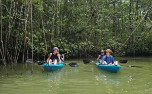 Read more about the article Discover the Térraba-Sierpe Wetland: biodiversity, tours and pure nature