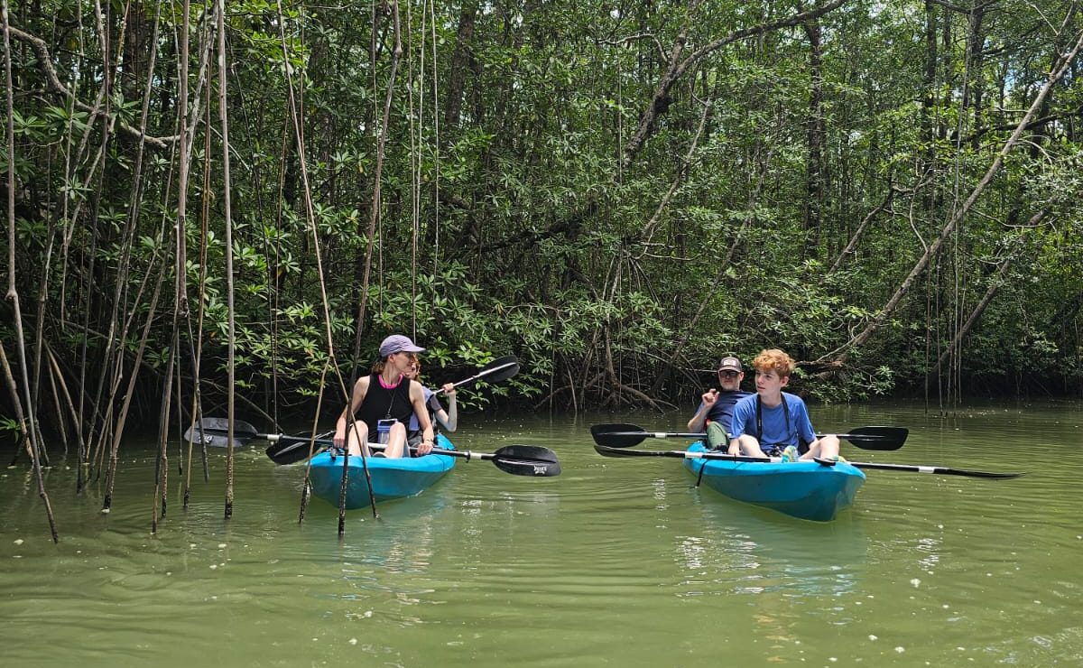 Read more about the article Discover the Térraba-Sierpe Wetland: biodiversity, tours and pure nature