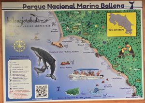 Read more about the article Uvita Quick Facts + How to Get to Uvita Costa Rica
