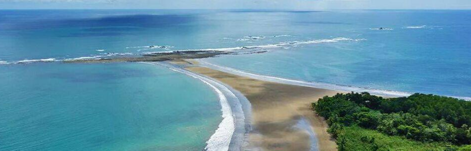 Read more about the article 🌊 Marino Ballena National Park: Whale Watching & Ocean Adventures in Uvita, Costa Rica