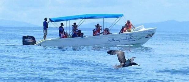 Read more about the article “REGULATIONS FOR TOUR OPERATORS FOR WHALE AND DOLPHINS WATCHING”