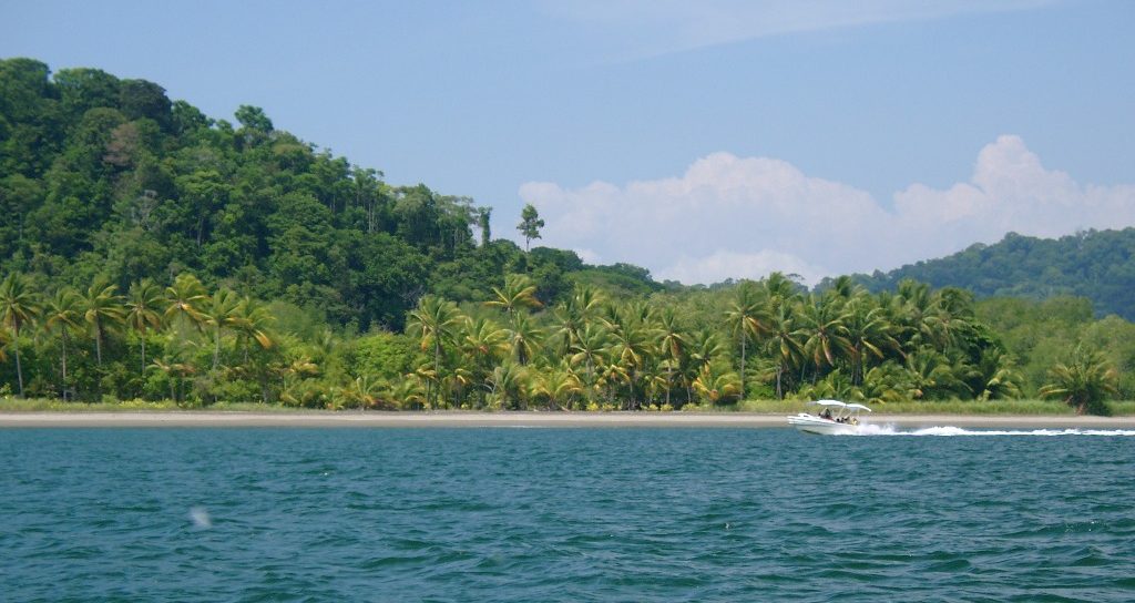 Read more about the article 🌿 Violin Island: Costa Rica’s South Pacific’s best-kept secret