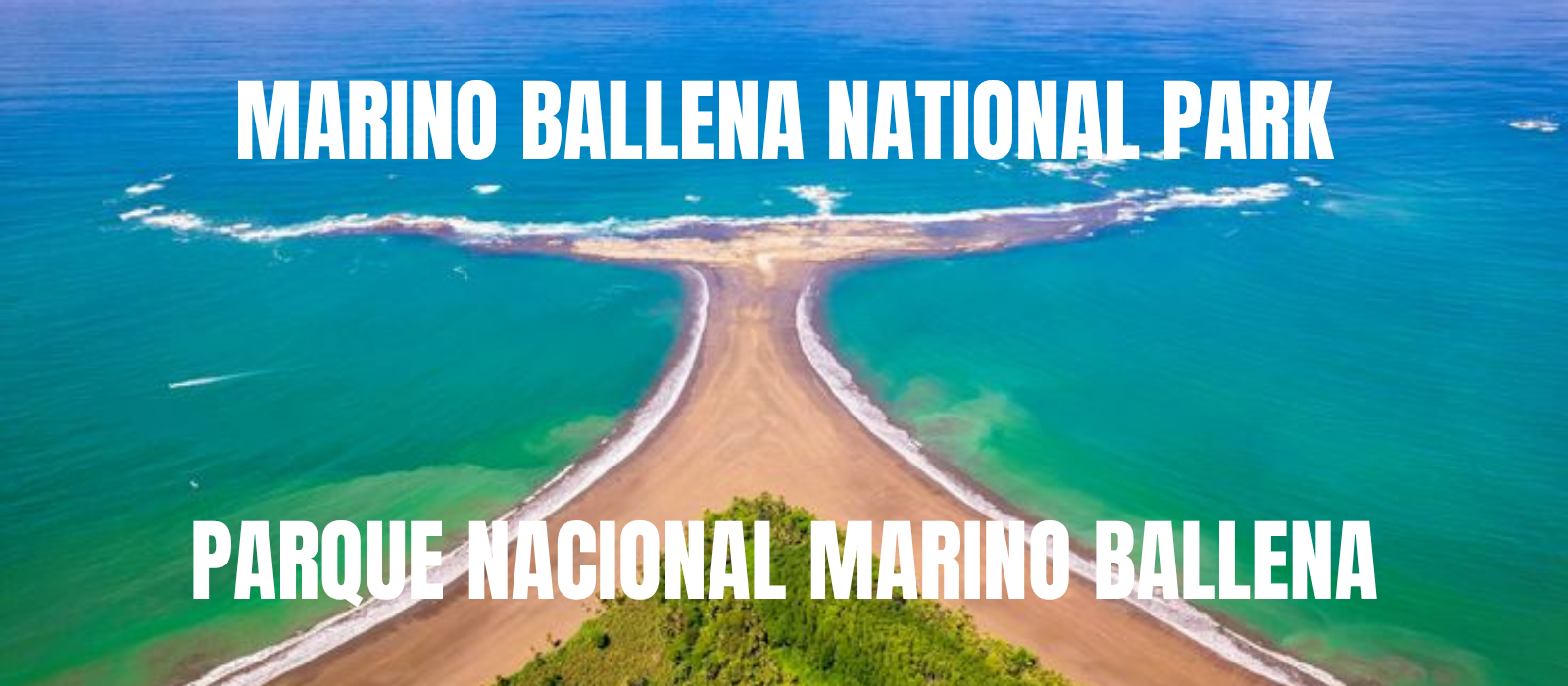 PARQUE NACIONAL MARINO BALLENA